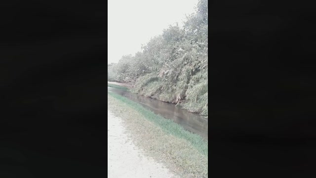 Seloloko  30-10-2022
